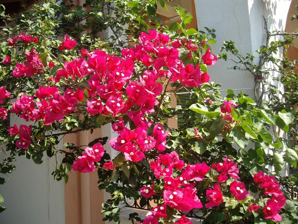 Athina Apartments Káto Korakiána Kültér fotó